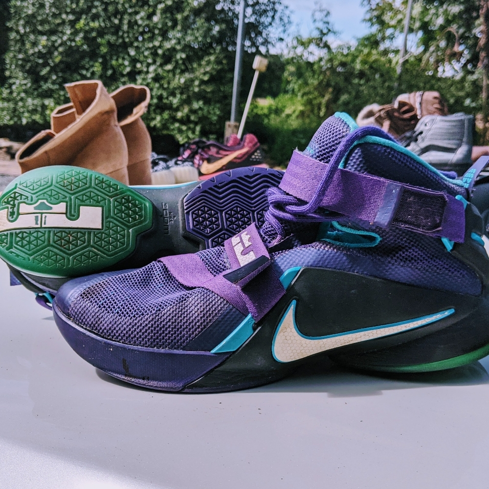 Lebrons - Picture 2 of 4